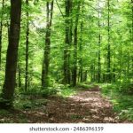 中文字幕制服丝袜第一页 v2kvv