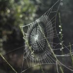 小电影网在线观看免费:畅享最新热门电影,随时随地尽情观影! skjph2p